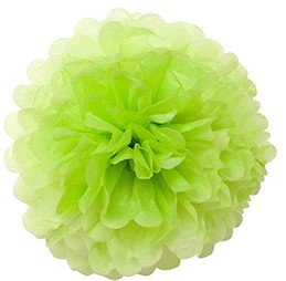Pompons - zīdpapīra zieds - 10 , 20 , 30 cm - salātu zaļš