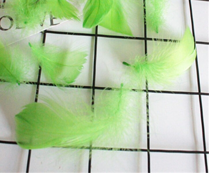 Decor color feather, light green 50 ptc.